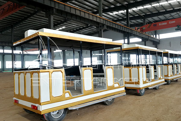 Adult Amusement Train Cabins