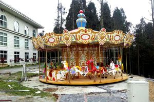 Dinis factory price coin operated merry go round