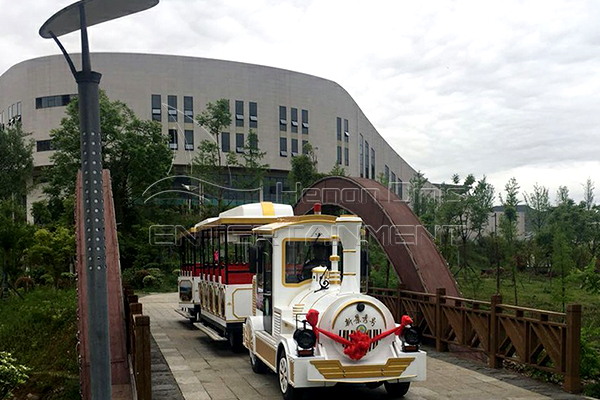 Electric Small Train Equipment for Family Use