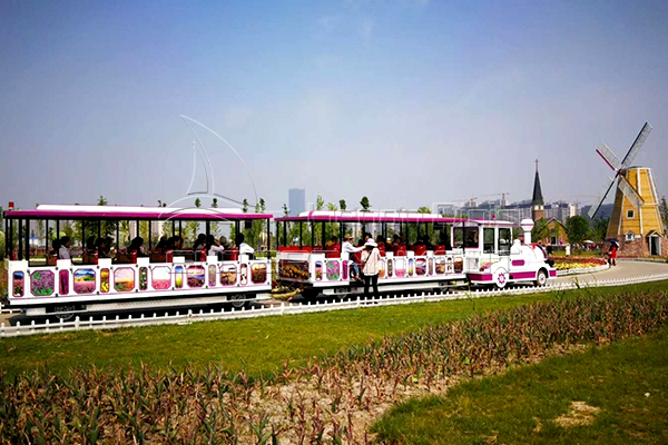 Electric Train For Adults Run in the Park