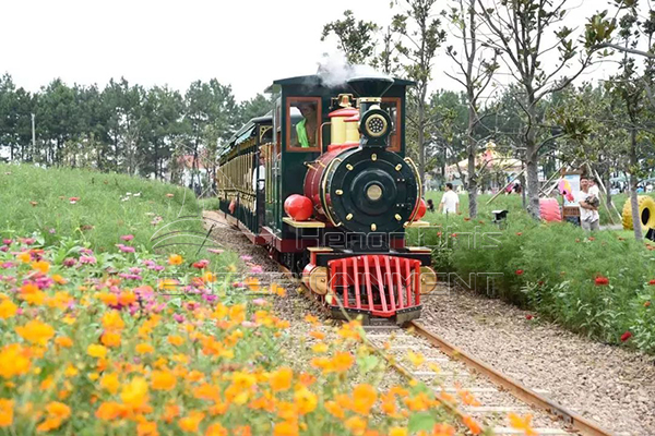 Luxury Track Train Ride for Sale Run through the Sea of Flowers