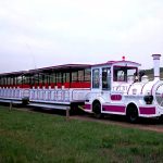 Motorized Trackless Train Rides for Sale for Farm