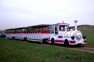 Motorized Trackless Train Rides for Sale for Farm