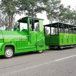 How to choose train rides correctly for scenic areas?