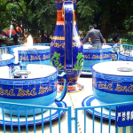 amusement park tea cup rides for adults and children